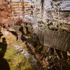 Gartenstecker Reh
